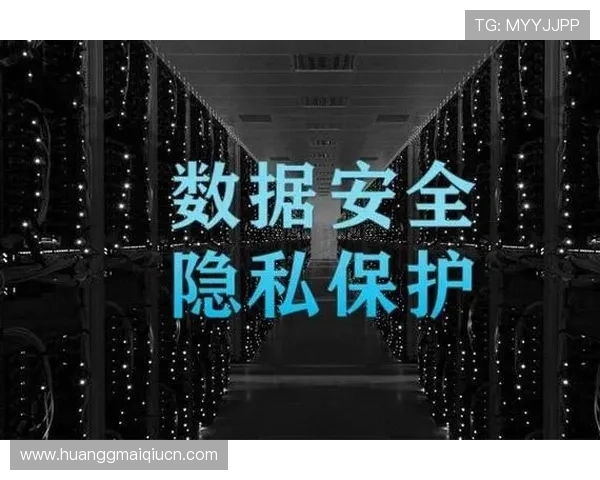 皇冠地址安全登录入口,保障您的账号信息安全与隐私保护 皇冠地址安全登录入口,保障您的账号信息安全与隐私保护
