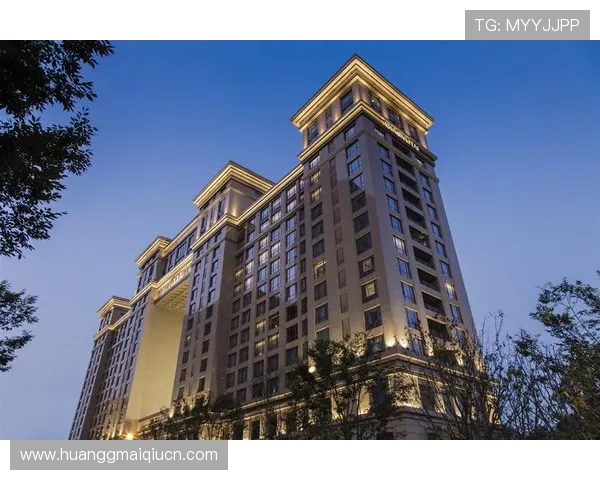 中国境内美高梅酒店的数量及其主要分布城市介绍全面解析美高梅在中国的市场布局